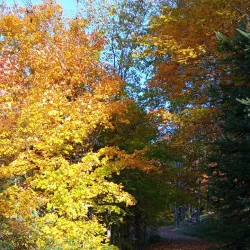 The Woodchester Villa - Bracebridge