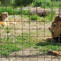Brantford Twin Valley Zoo - Brantford