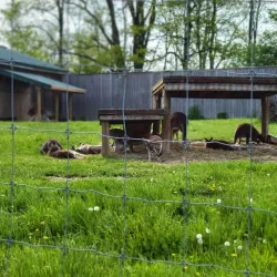 Brantford Twin Valley Zoo - Brantford