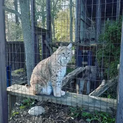 Brantford Twin Valley Zoo - Brantford