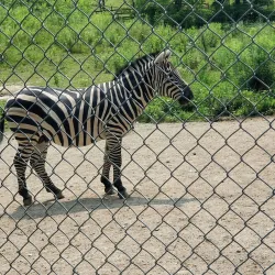 Brantford Twin Valley Zoo - Brantford