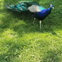 Brantford Twin Valley Zoo - Brantford