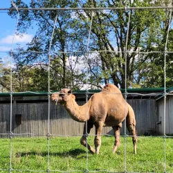 Brantford Twin Valley Zoo - Brantford
