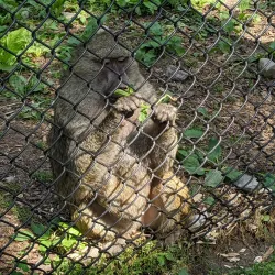 Brantford Twin Valley Zoo - Brantford