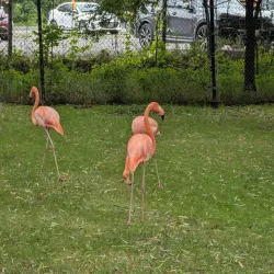 Brantford Twin Valley Zoo - Brantford