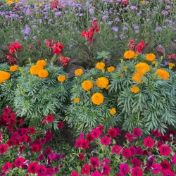 Glenhyrst Art Gallery of Brant - Brantford