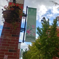 Harmony Square - Brantford