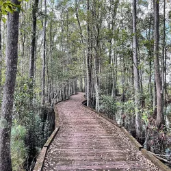 Stephen C. Foster Provincial Park - Brantford