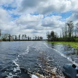 Stephen C. Foster Provincial Park - Brantford