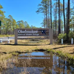 Stephen C. Foster Provincial Park - Brantford