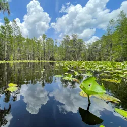 Stephen C. Foster Provincial Park - Brantford