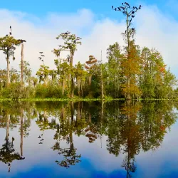 Stephen C. Foster Provincial Park - Brantford