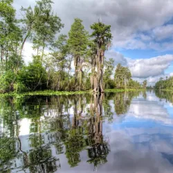 Stephen C. Foster Provincial Park - Brantford
