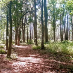 Stephen C. Foster Provincial Park - Brantford
