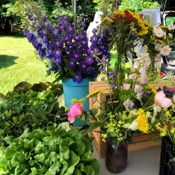 Bridgewater Farmers' Market - Bridgewater