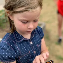 Bridgewater Public Library - Bridgewater