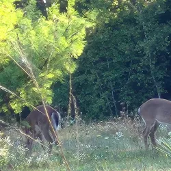 Lunenburg County Lifestyle Centre - Bridgewater