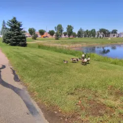 Brooks Golf Club - Brooks