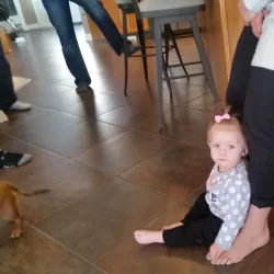 Brooks Golf Club - Brooks