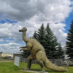 Brooks Museum - Brooks