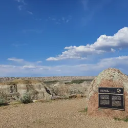 Dinosaur Provincial Park - Brooks