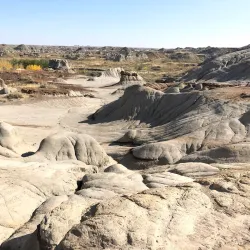 Dinosaur Provincial Park - Brooks