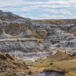 Dinosaur Provincial Park - Brooks