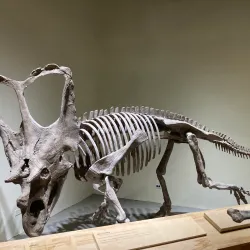 Dinosaur Provincial Park - Brooks