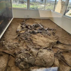 Dinosaur Provincial Park - Brooks