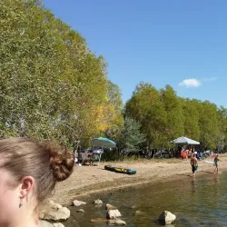 Tillebrook Provincial Park - Brooks