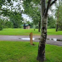 Tillebrook Provincial Park - Brooks