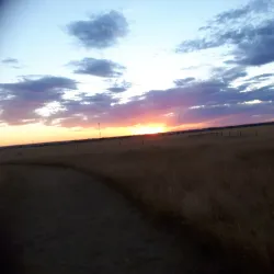 Tillebrook Provincial Park - Brooks