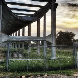 Tillebrook Provincial Park - Brooks