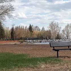 Tillebrook Provincial Park - Brooks