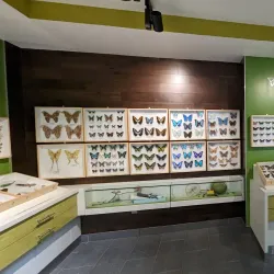 Brossard Library (Bibliothèque de Brossard) - Brossard