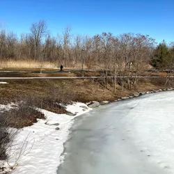 Parc de la Cité - Brossard