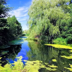 Parc de la Rivière-aux-Pins - Brossard