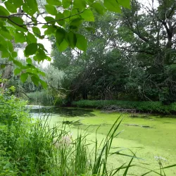Parc de la Rivière-aux-Pins - Brossard
