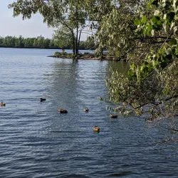 Parc des Prairies - Brossard