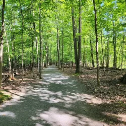 Parc Michel-Chartrand - Brossard