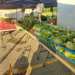 Burlington Farmers' Market - Burlington