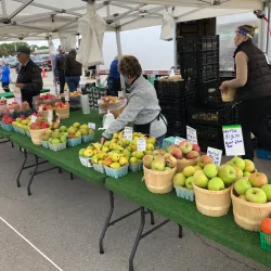 Burlington Farmers' Market - Burlington