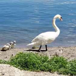 LaSalle Park - Burlington