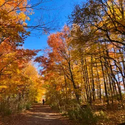 Mount Nemo Conservation Area - Burlington