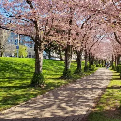 Spencer Smith Park - Burlington