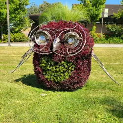 Bill Copeland Sports Centre - Burnaby