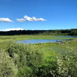 Burnaby Lake Regional Park - Burnaby