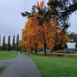 Burnaby Lake Regional Park - Burnaby