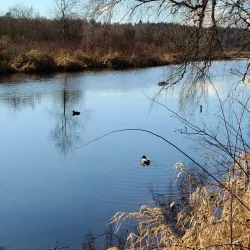 Burnaby Lake Regional Park - Burnaby