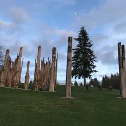 Burnaby Mountain Park - Burnaby